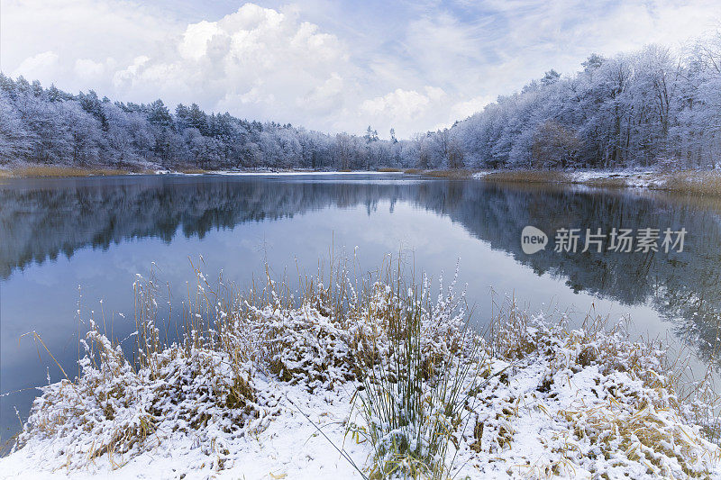 在P[oland度假-马苏里亚湖的冬季风景